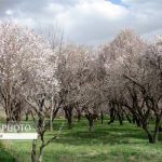 تصویب طرح اصلاح معیارهای تعیین نوعیت ملک