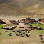 گردشگری عشایر پتانسیلی مغفول مانده در شهرهای خراسان رضوی