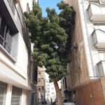 کار تحسین‌برانگیز معماران در بندرعباس
