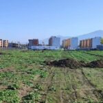 ۵ شهر گلستان مشمول مصوبه احتکار زمین شورای‌عالی شهرسازی و معماری می‌شوند 