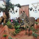 آشنایی با موزه زیستی پردیسان