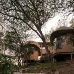 معماری منحصربه‌فرد خانۀ «هندی» که انگار با طبیعت یکی شده است