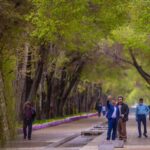 وقتی چهارباغ اصفهان از تماشا می‌افتد